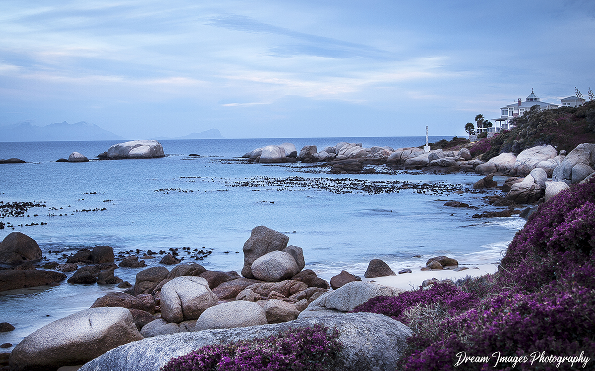 Landscape 11